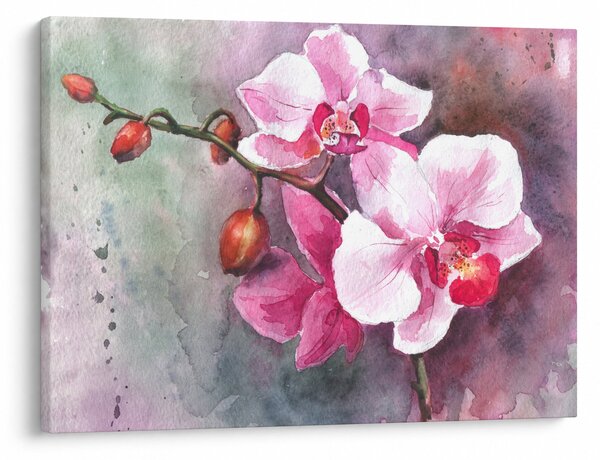 Obraz - Orchidee, akwarela (70x50 cm)