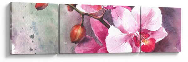 Obraz - Orchidee, akwarela (170x50 cm)