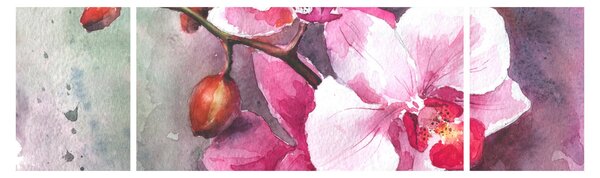 Obraz - Orchidee, akwarela (170x50 cm)