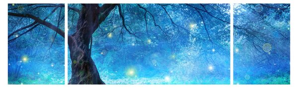 Obraz - Mistyczny las (170x50 cm)