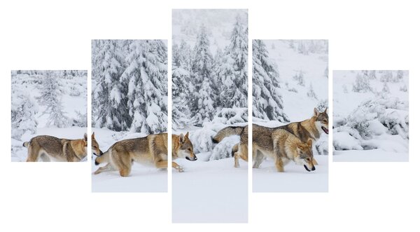 Obraz - Wilki w górach (125x70 cm)