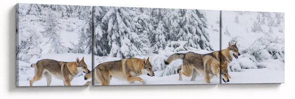 Obraz - Wilki w górach (170x50 cm)