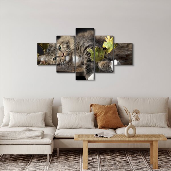 Obraz - Leżący kot (125x70 cm)