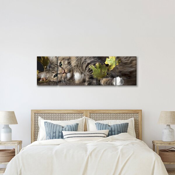 Obraz - Leżący kot (170x50 cm)