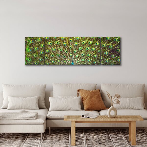 Obraz - Paw (170x50 cm)