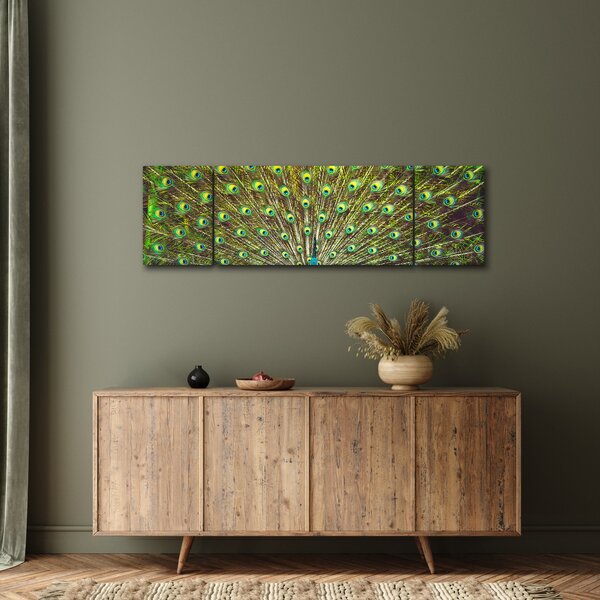 Obraz - Paw (170x50 cm)