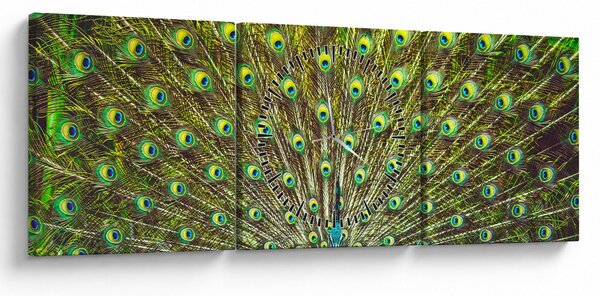Obraz - Paw (z zegarem) (90x30 cm)