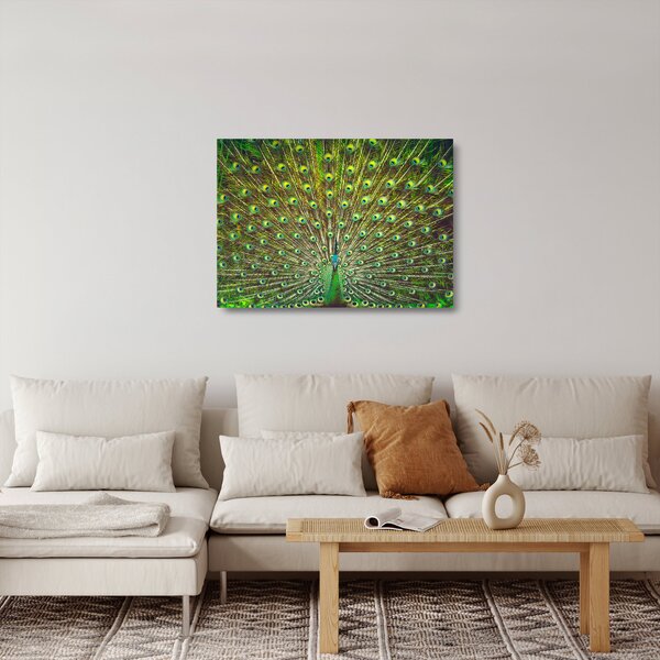 Obraz na szkle - Paw (70x50 cm)