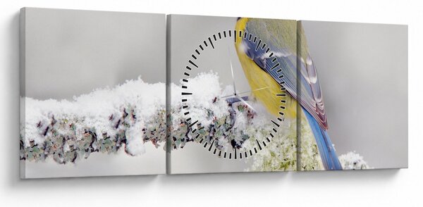 Obraz - Sikora modraszka w lesie (z zegarem) (90x30 cm)