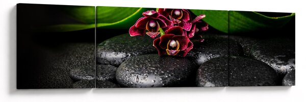 Obraz - Kamienie lawy (170x50 cm)