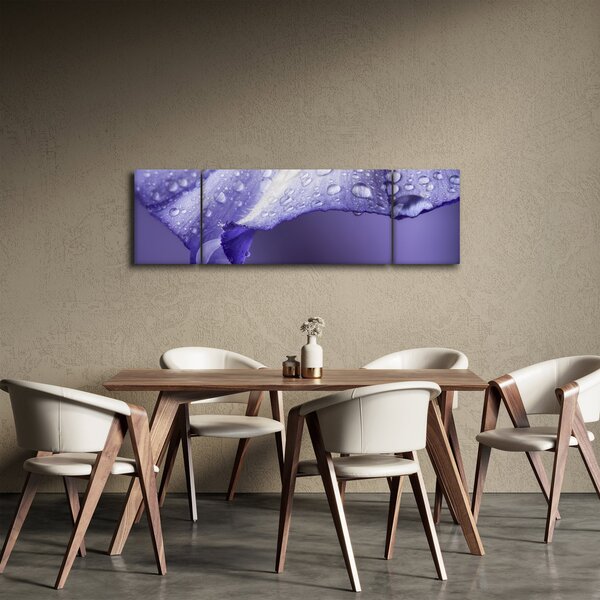 Obraz - Płatek z kroplami (170x50 cm)