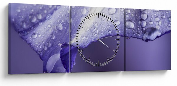 Obraz - Płatek z kroplami (z zegarem) (90x30 cm)