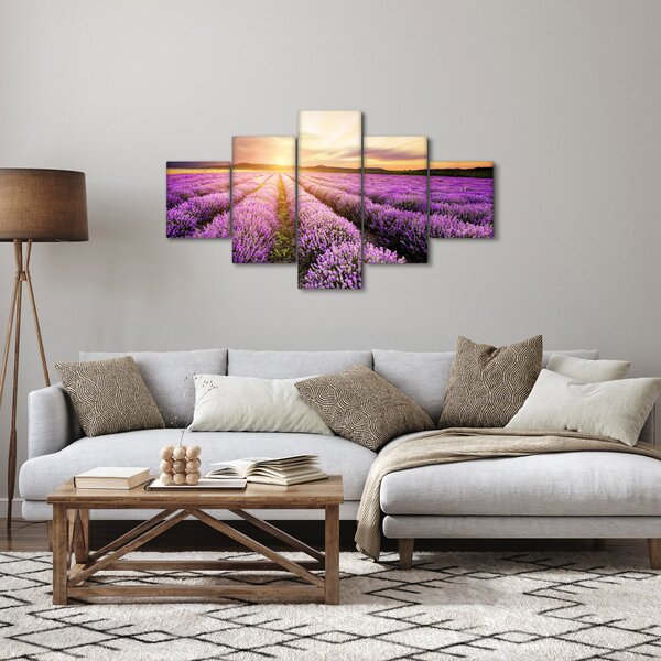 Obraz - Wschód słońca na polu lawendy (125x70 cm)