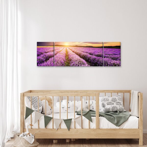 Obraz - Wschód słońca na polu lawendy (170x50 cm)