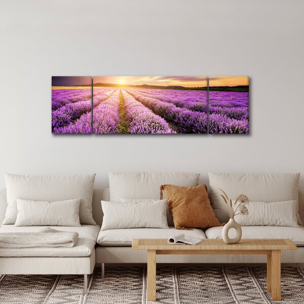 Obraz - Wschód słońca na polu lawendy (170x50 cm)