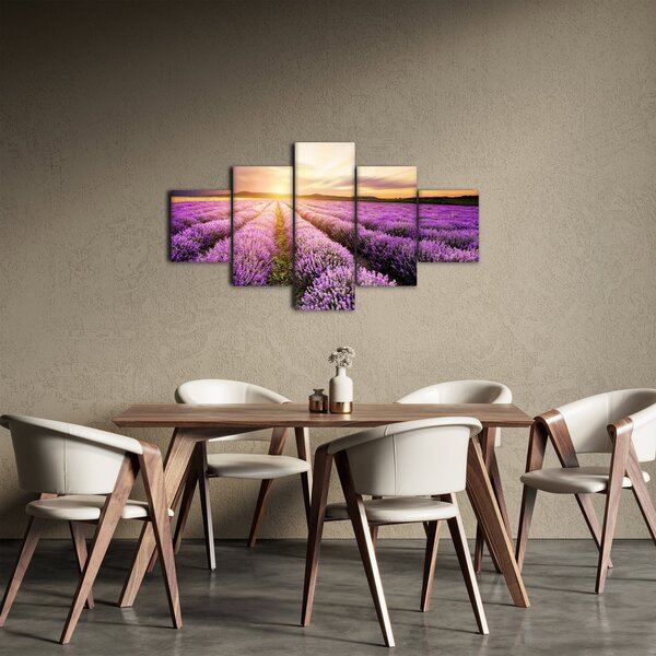 Obraz - Wschód słońca na polu lawendy (125x70 cm)