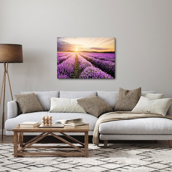Obraz - Wschód słońca na polu lawendy (70x50 cm)
