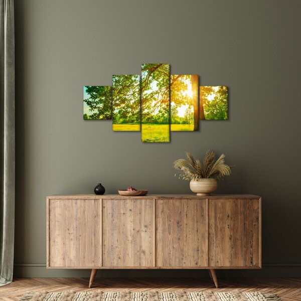 Obraz - Słoneczny Las (125x70 cm)