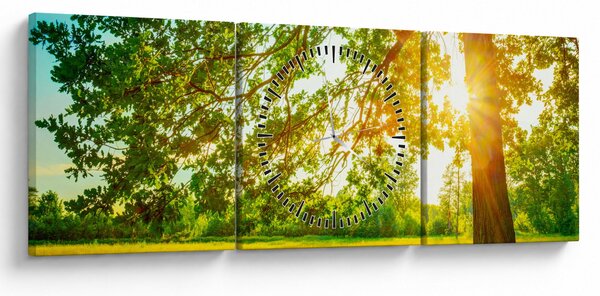 Obraz - Słoneczny Las (z zegarem) (90x30 cm)