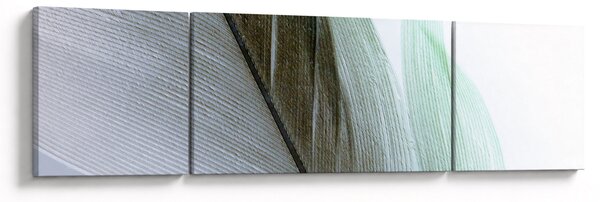 Obraz - Pióra, makro (170x50 cm)