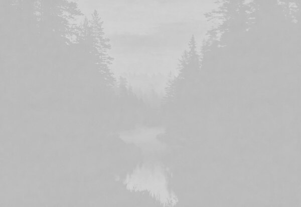Fototapeta Zdjęcie lasu w skali szarości, Fototapety Natura, Popularne Fototapety, t01078 - Tapeko.pl