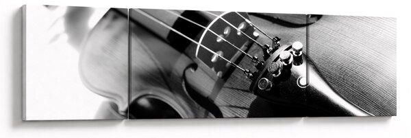 Obraz - Skrzypce (170x50 cm)