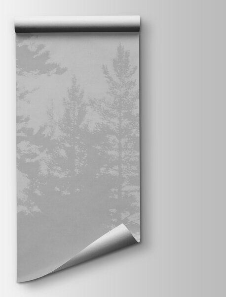Fototapeta Zdjęcie lasu w skali szarości, Fototapety Natura, Popularne Fototapety, t01078 - Tapeko.pl