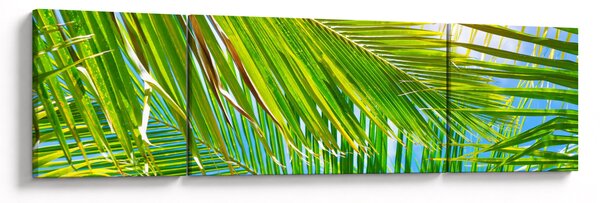 Obraz - Liście palmowe (170x50 cm)