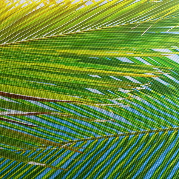 Obraz - Liście palmowe (125x70 cm)