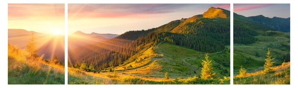 Obraz - Letni krajobraz (170x50 cm)