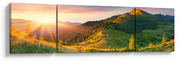 Obraz - Letni krajobraz (170x50 cm)