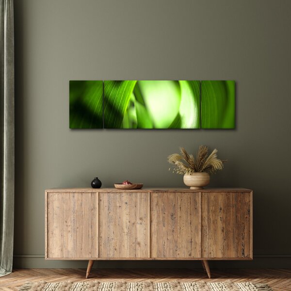 Obraz - Źdźbło trawy (170x50 cm)