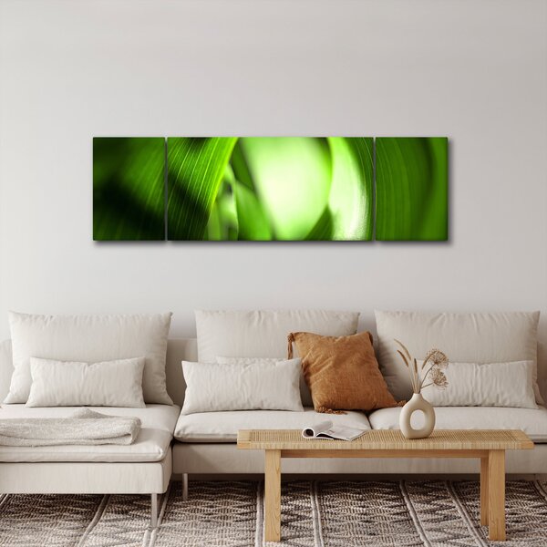 Obraz - Źdźbło trawy (170x50 cm)