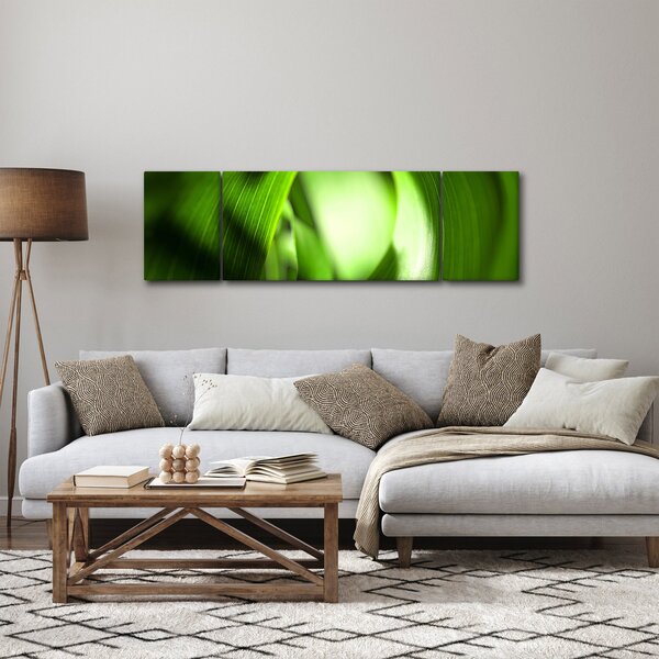 Obraz - Źdźbło trawy (170x50 cm)