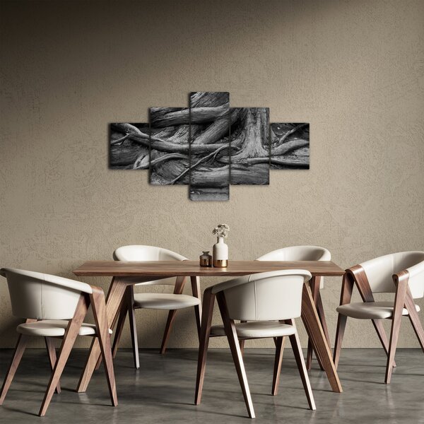 Obraz - Korzenie drzewa (125x70 cm)