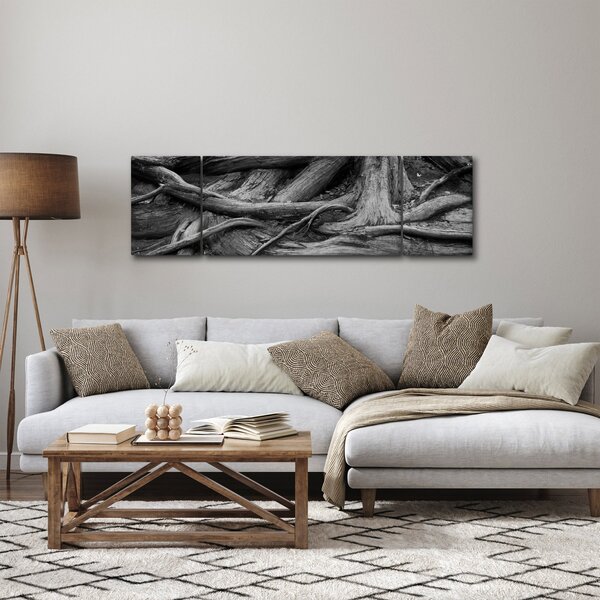 Obraz - Korzenie drzewa (170x50 cm)