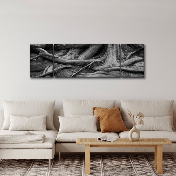 Obraz - Korzenie drzewa (170x50 cm)