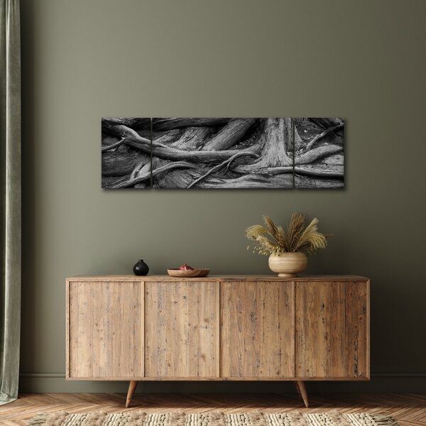 Obraz - Korzenie drzewa (170x50 cm)