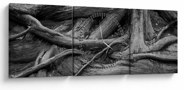 Obraz - Korzenie drzewa (z zegarem) (90x30 cm)