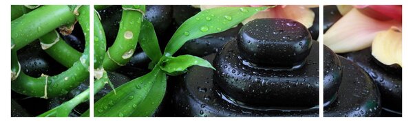 Obraz - Kamienie i orchidee (170x50 cm)