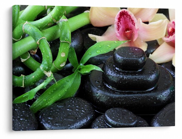 Obraz - Kamienie i orchidee (70x50 cm)