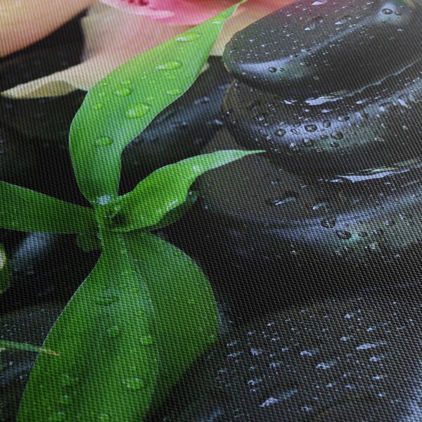 Obraz - Kamienie i orchidee (125x70 cm)
