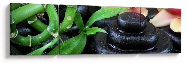 Obraz - Kamienie i orchidee (170x50 cm)