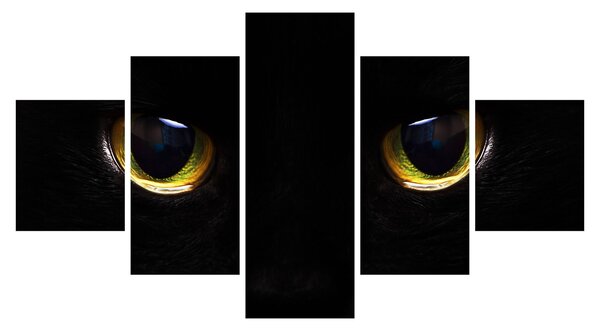 Obraz - Kocie oczy (125x70 cm)