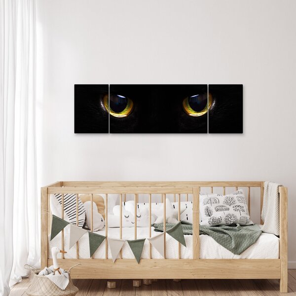 Obraz - Kocie oczy (170x50 cm)