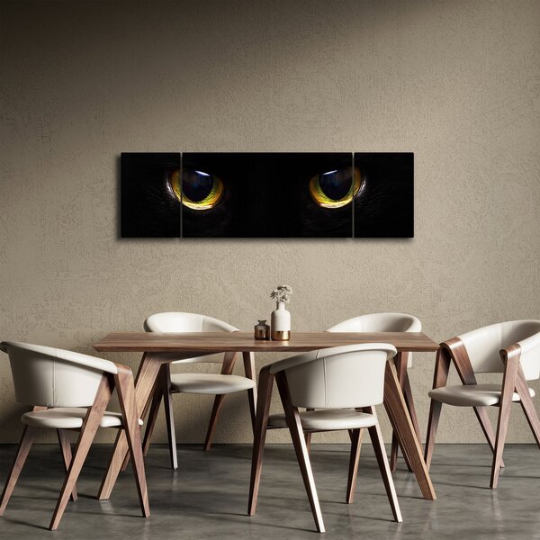 Obraz - Kocie oczy (170x50 cm)