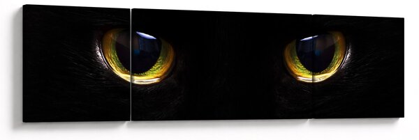 Obraz - Kocie oczy (170x50 cm)