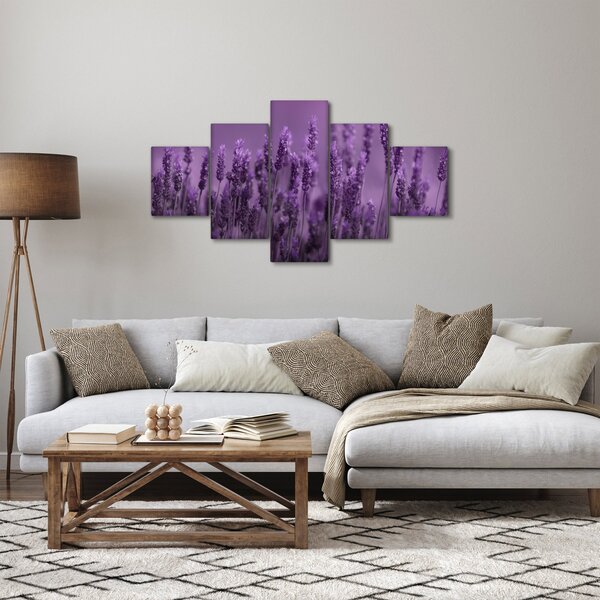 Obraz - Lawenda (125x70 cm)