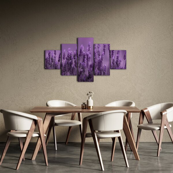 Obraz - Lawenda (125x70 cm)