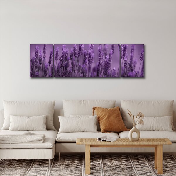 Obraz - Lawenda (170x50 cm)